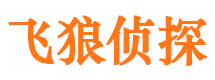 岱岳侦探公司